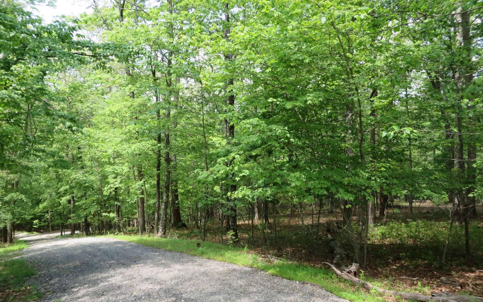 Mineral Bluff, GA 30559,LT 46 Coldwater Creek Trail