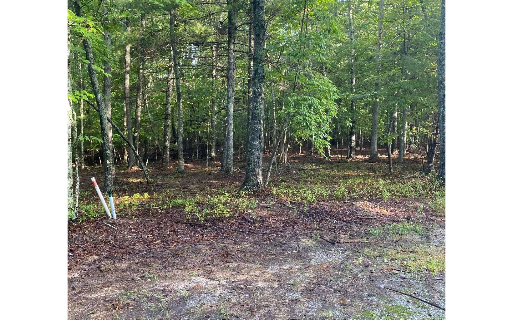 Blairsville, GA 30512,LOT 8 Renegade Ridge Road