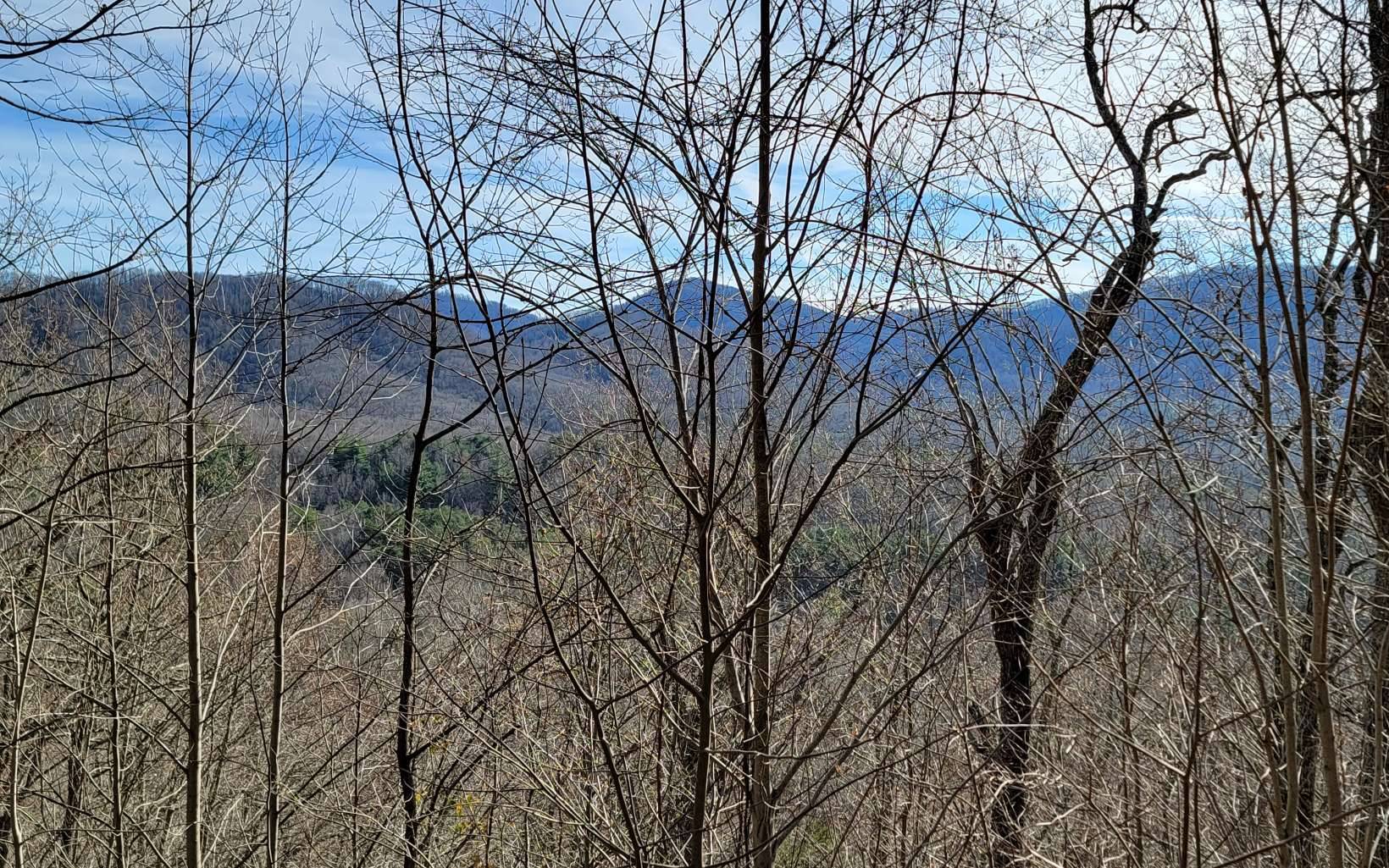 Murphy, NC 28906,LT 33 Chimney Top Trail