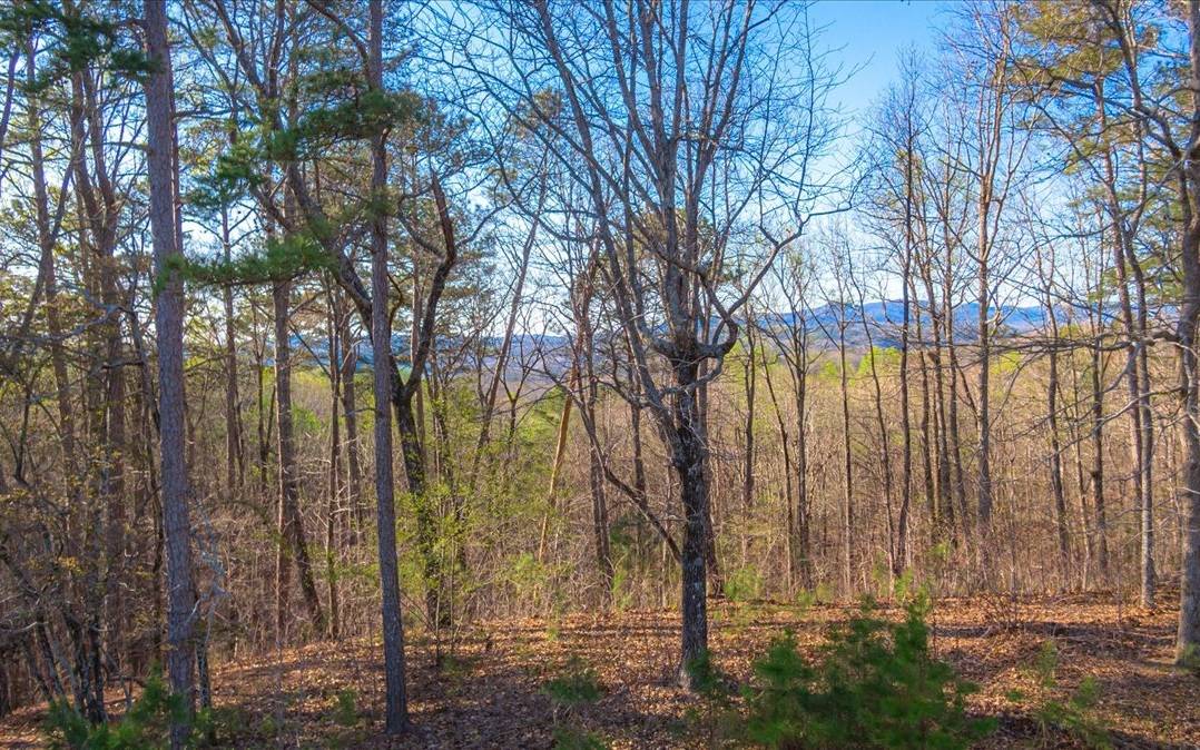 Ellijay, GA 30540,175 Doll Mountain Road