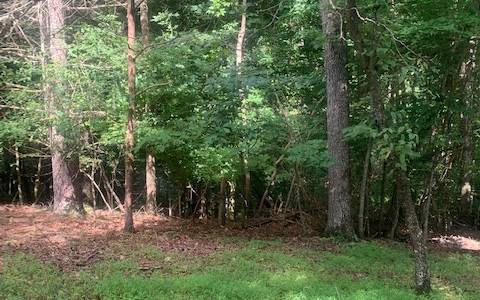 East Ellijay, GA 30540,L224R Foxhound Drive