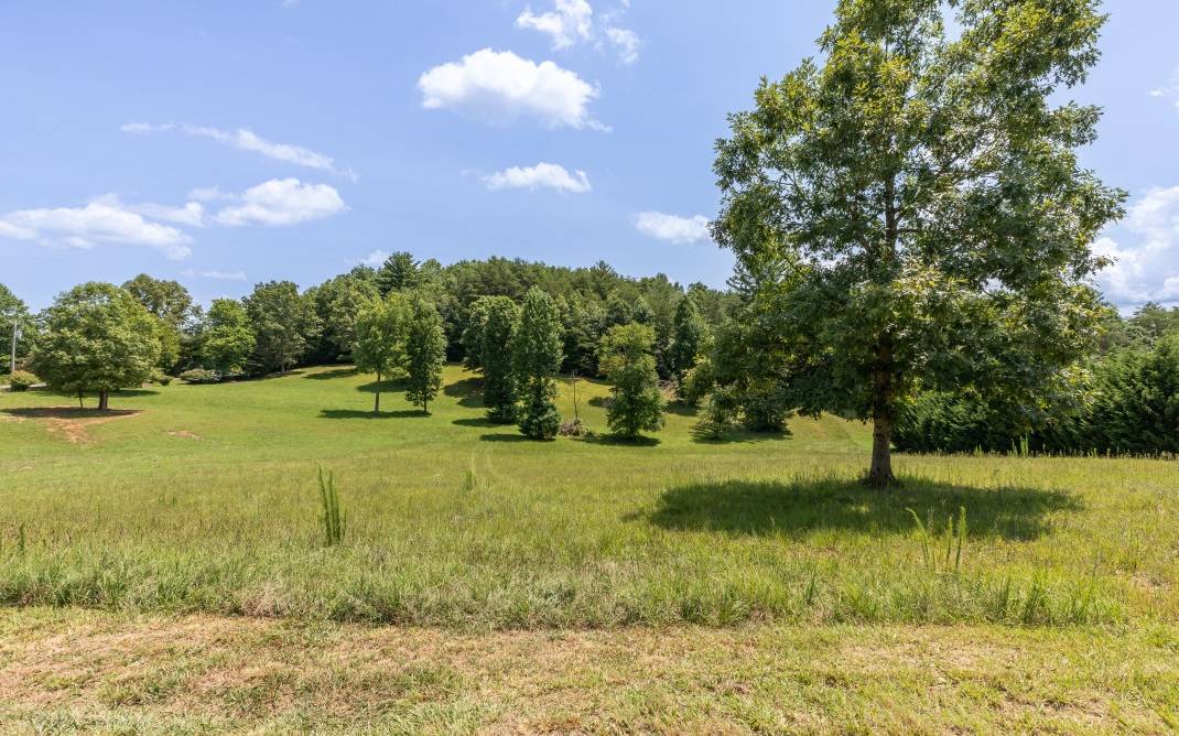 Morganton, GA 30560,LOT21 Emelia Estates