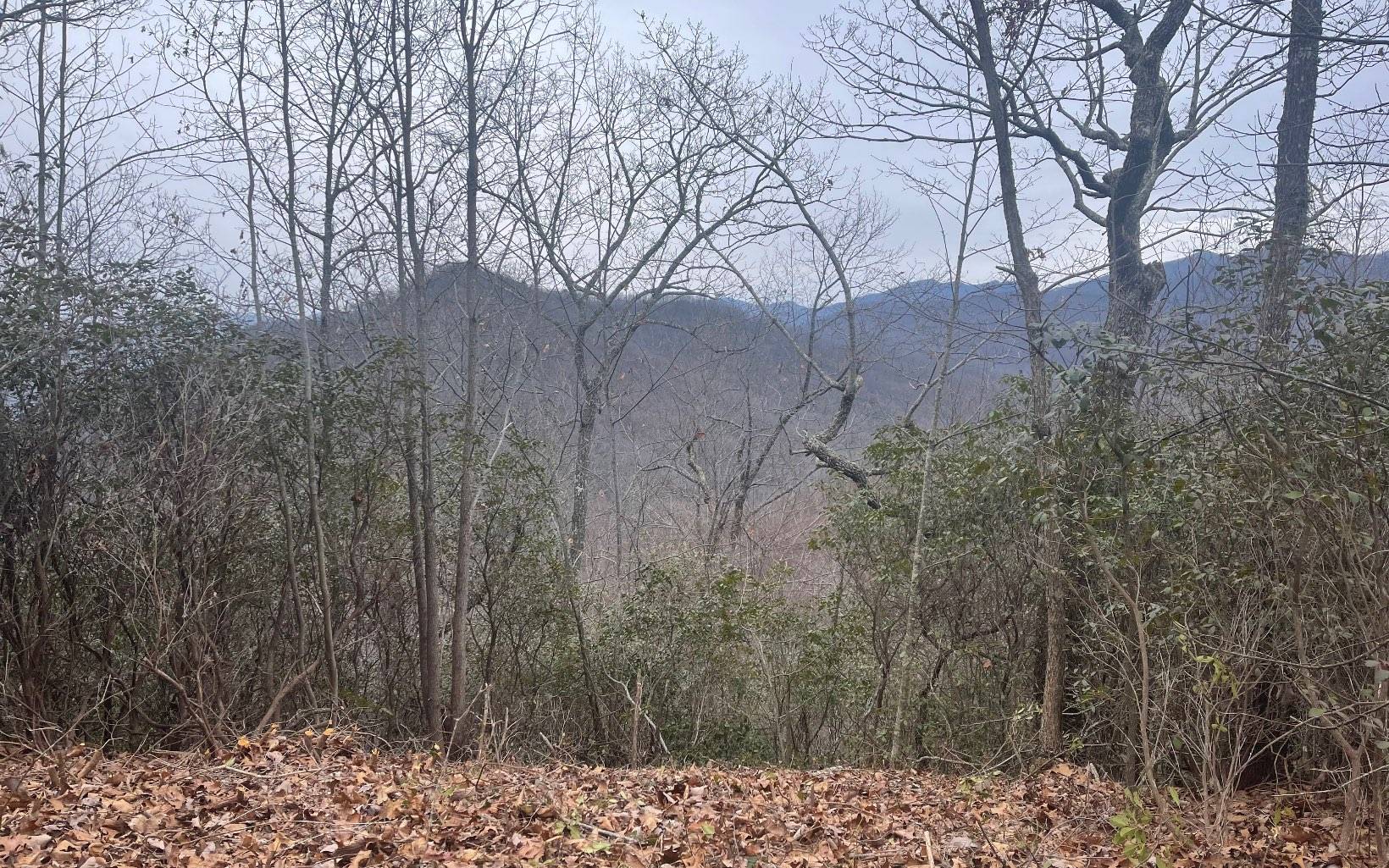 Hayesville, NC 28904,60&61 Eagles View Sub