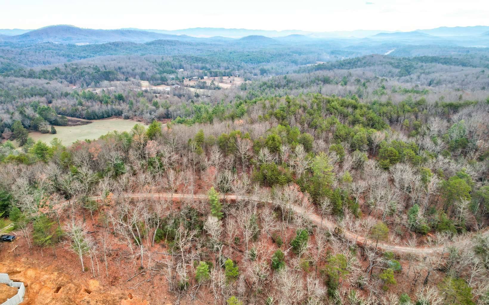 Mineral Bluff, GA 30559,LT 20 Crabapple