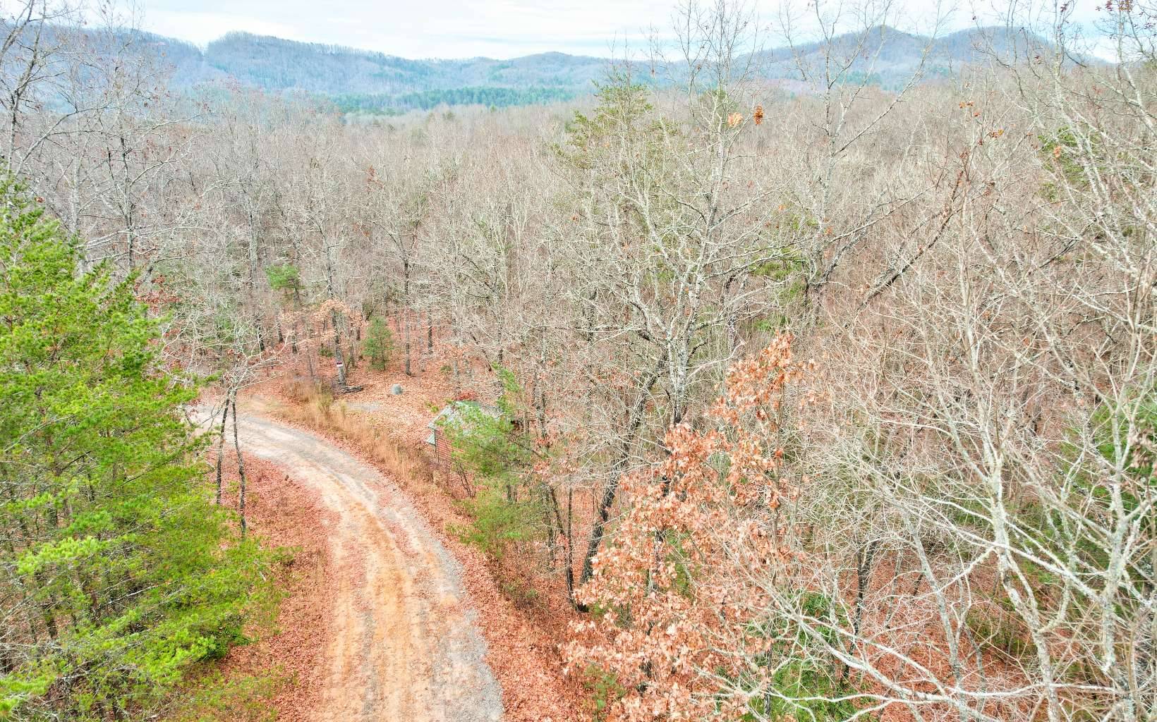 Mineral Bluff, GA 30559,LT 20 Crabapple