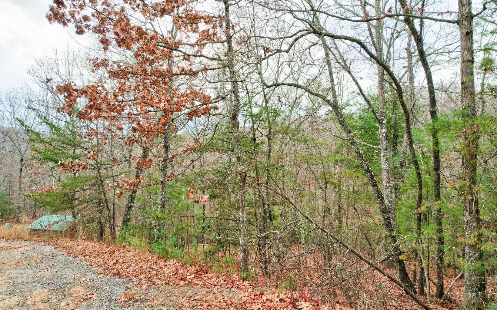 Mineral Bluff, GA 30559,LT 20 Crabapple