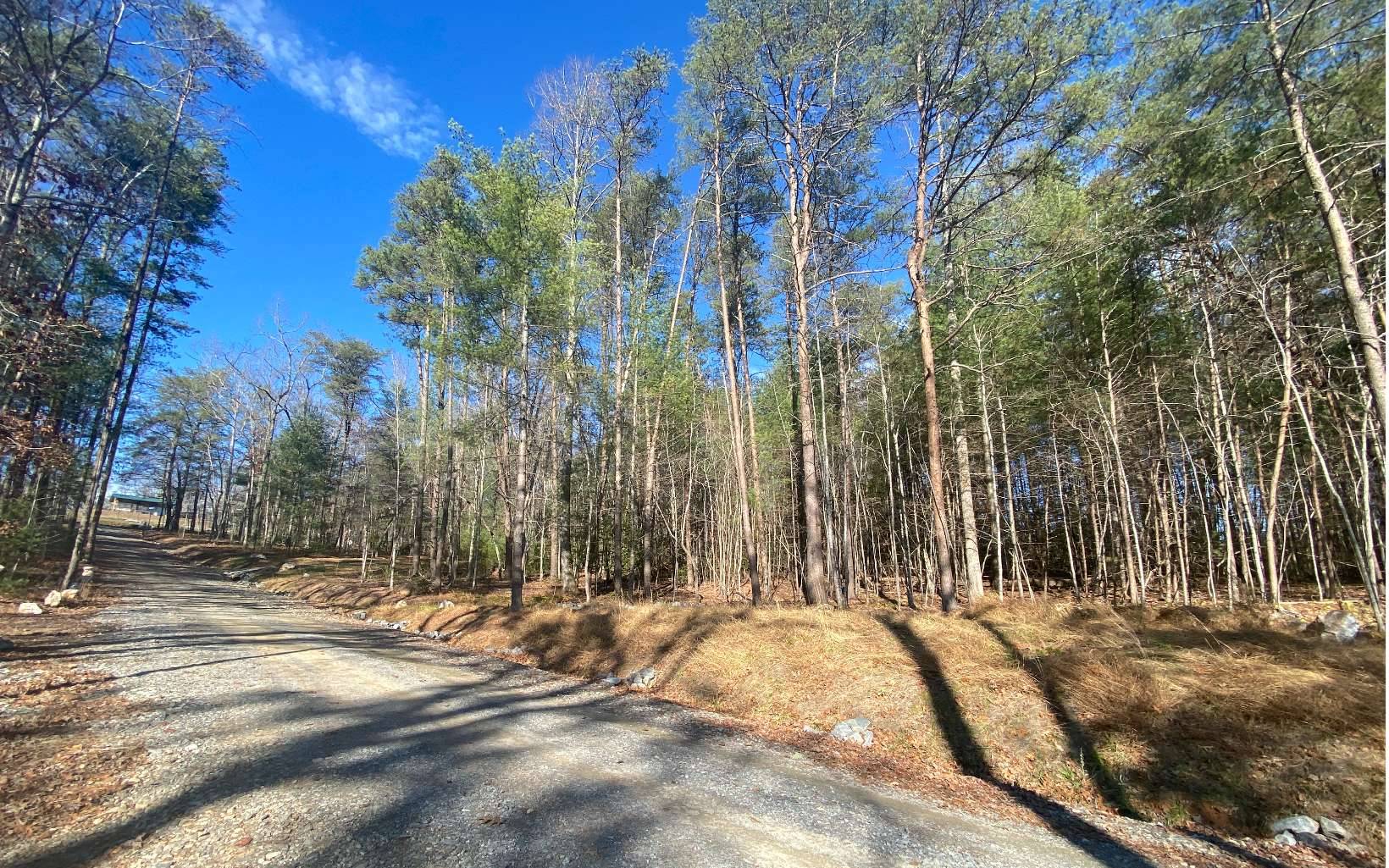 Morganton, GA 30560,LOT 8 Dial Lakes Drive