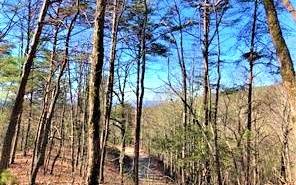 Ellijay, GA 30540,308L Brushy Top Drive