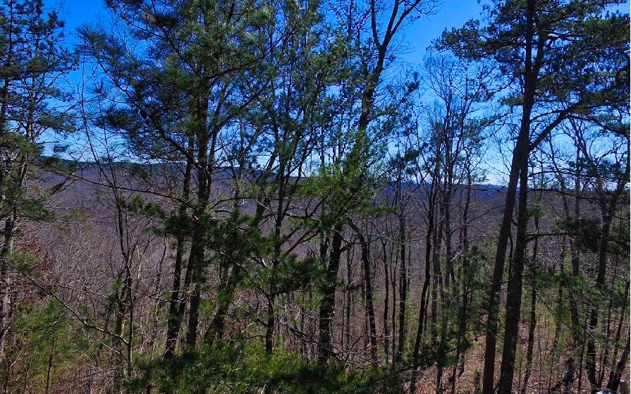 Ellijay, GA 30540,LT181 Doll Mountain Road