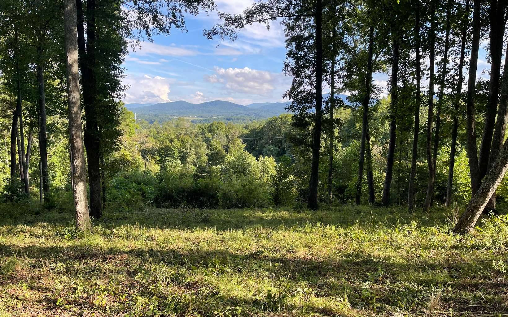 Blairsville, GA 30512,Lot 70 Highland Park