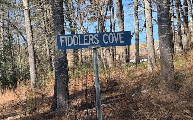 Blairsville, GA 30512,LT 20 Fiddlers Cove