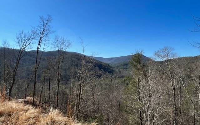 Cherry Log, GA 30522,LT 16 Rich Mountain Overlook