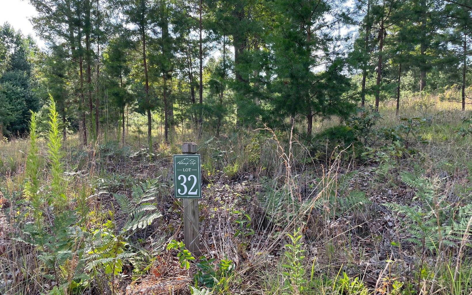 Blairsville, GA 30512,0 Clay Drive Lot #32