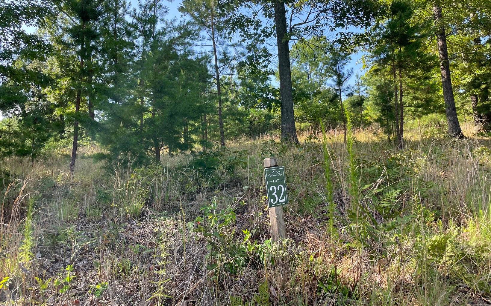 Blairsville, GA 30512,0 Clay Drive Lot #32