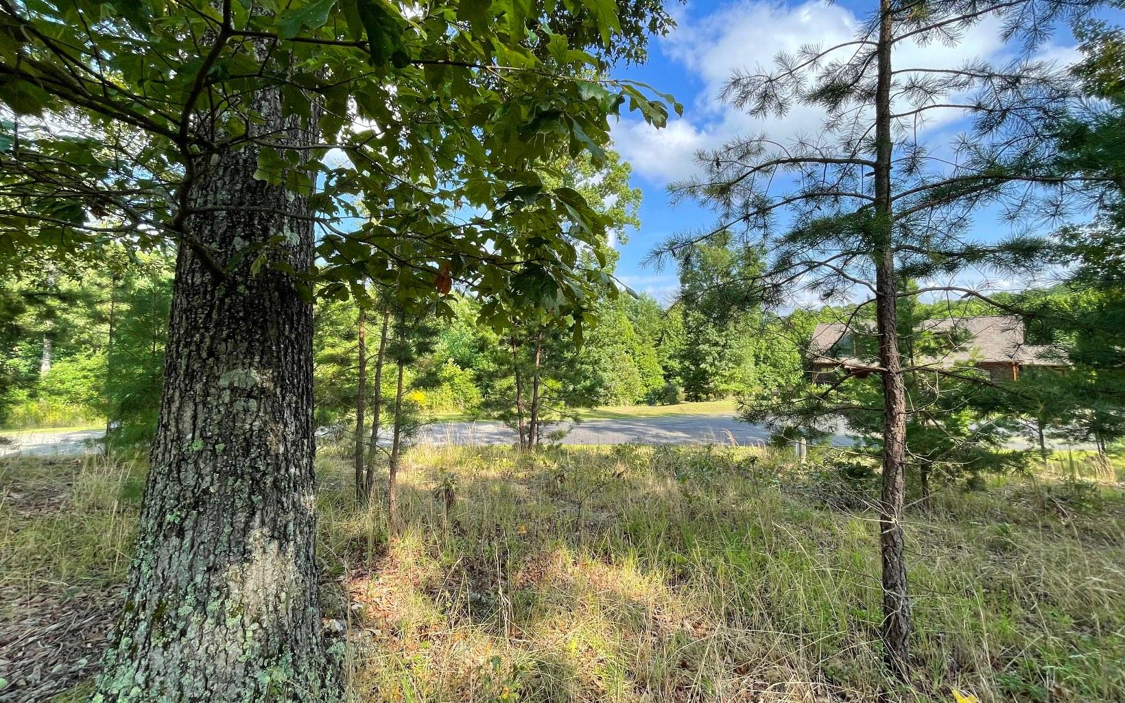 Blairsville, GA 30512,0 Clay Drive Lot #32