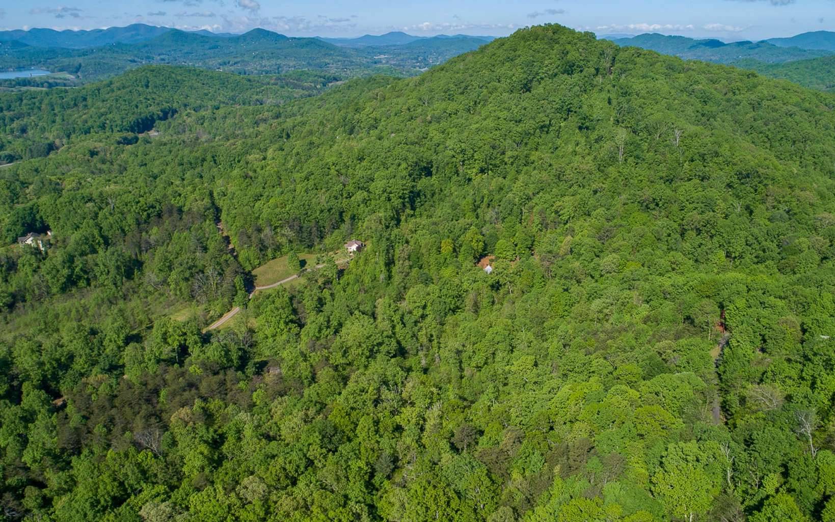 Hayesville, NC 28904,LOT 8 Bell Heights