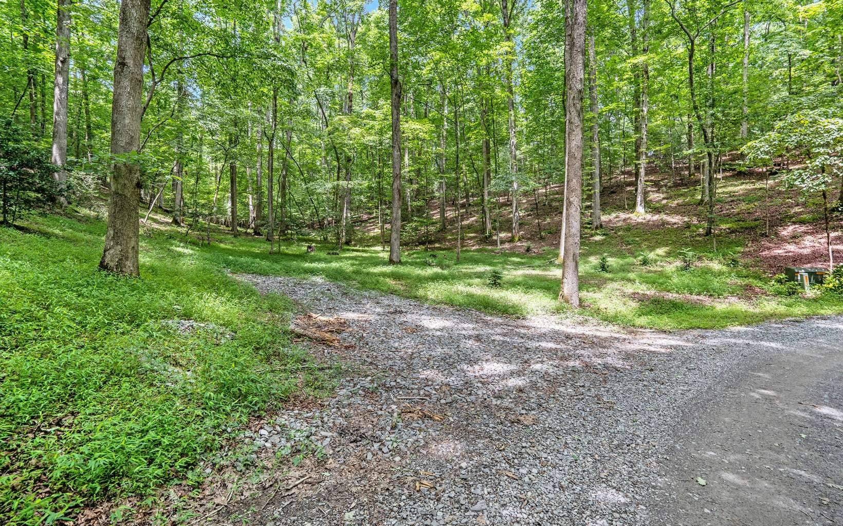 Ellijay, GA 30536,LT 22 Gold Mine Road