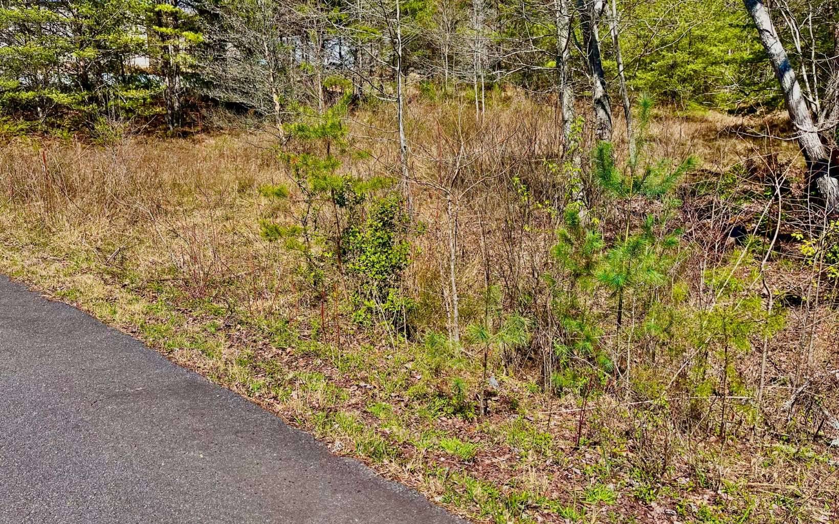 Blairsville, GA 30512,LOT28 Langford Lane