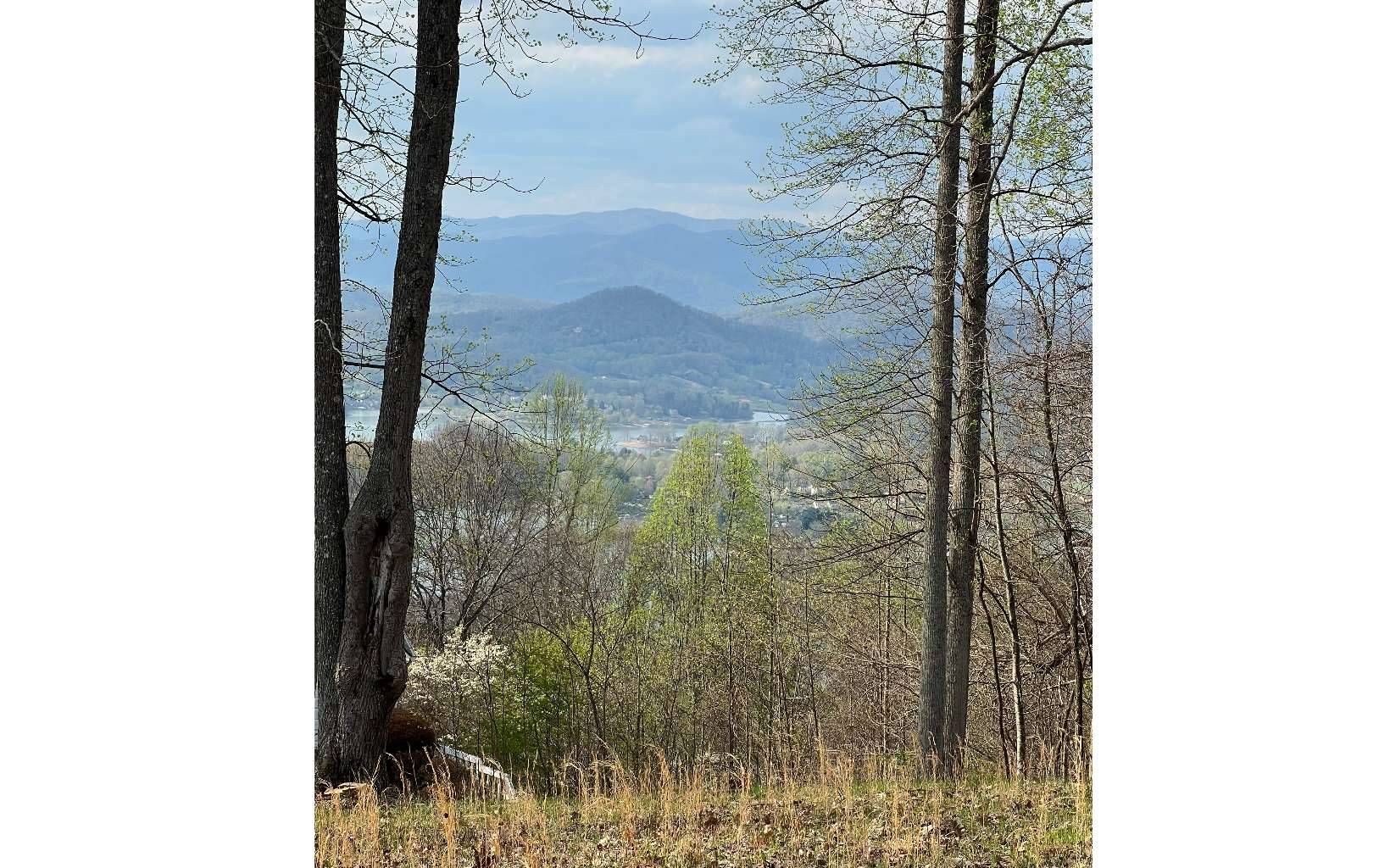 Hayesville, NC 28904,LOT74 Eagles View Smt