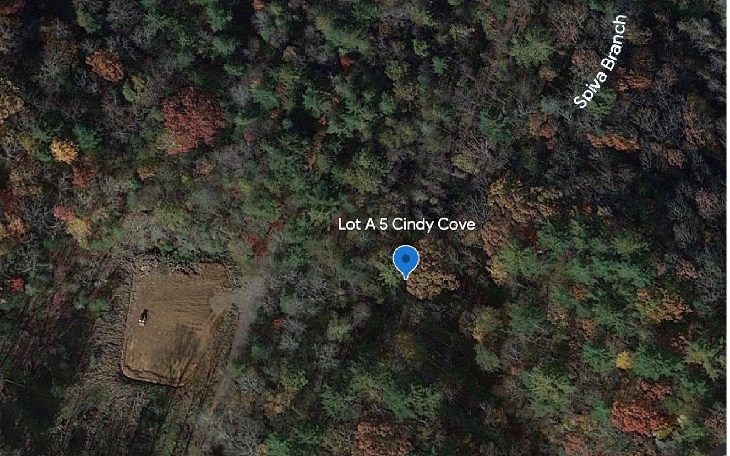 Blairsville, GA 30512,LT A5 Cindy Cove Road