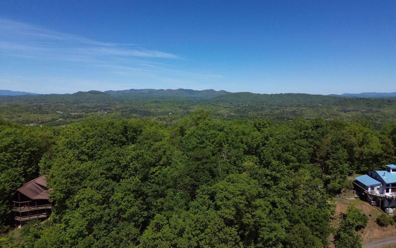 Morganton, GA 30560,0 Bruce Mountain Road