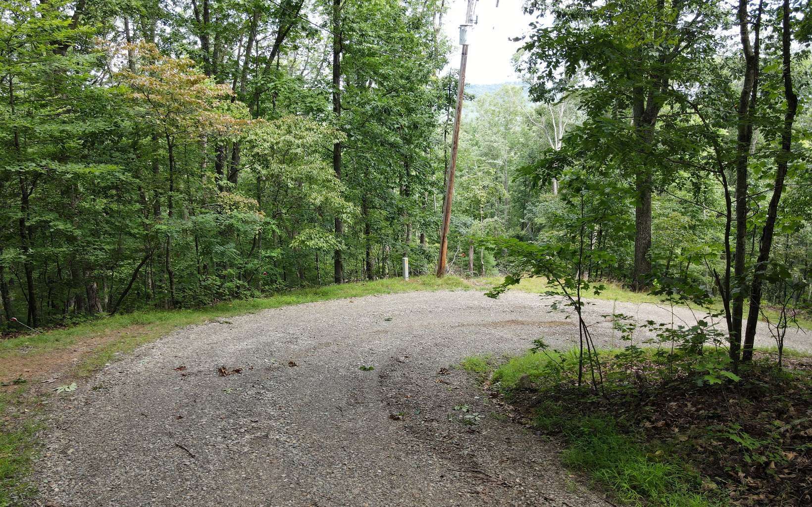 Morganton, GA 30560,LOT 1 Birchwood Trails