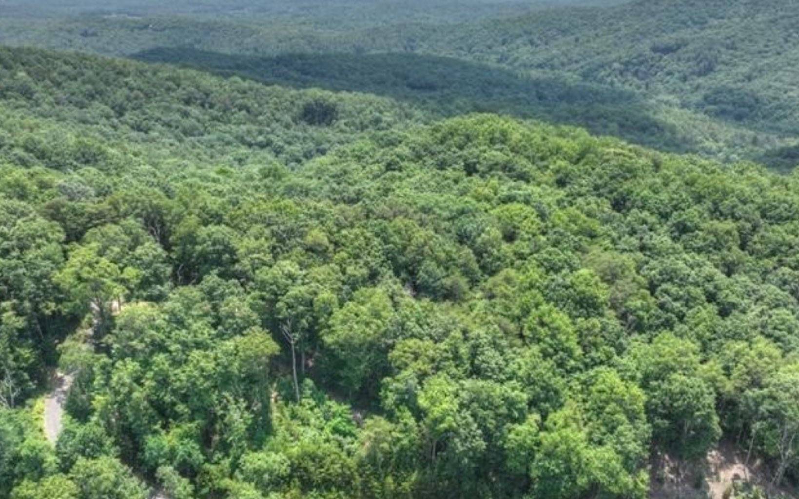 Cherry Log, GA 30522,LOT 5 Heights Overlook