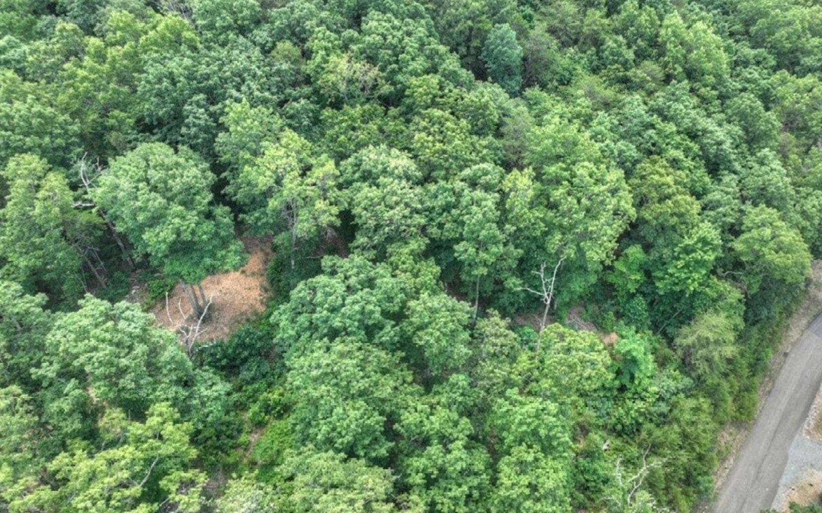 Cherry Log, GA 30522,LOT 5 Heights Overlook