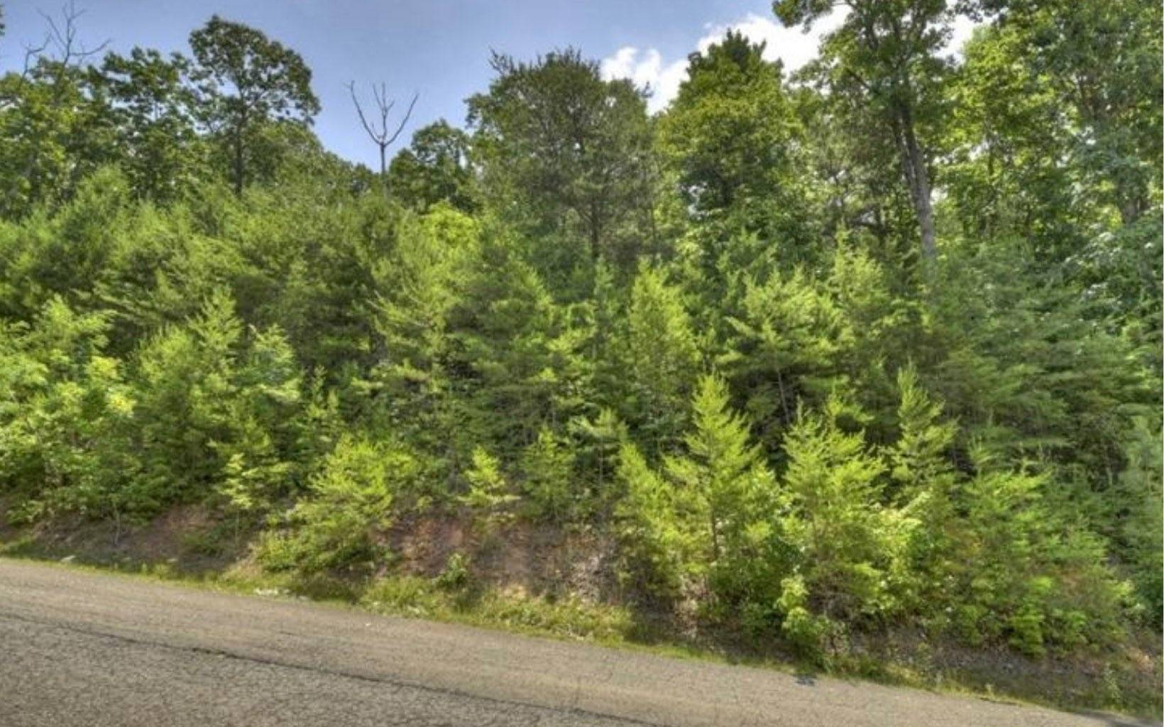 Cherry Log, GA 30522,LOT 5 Heights Overlook