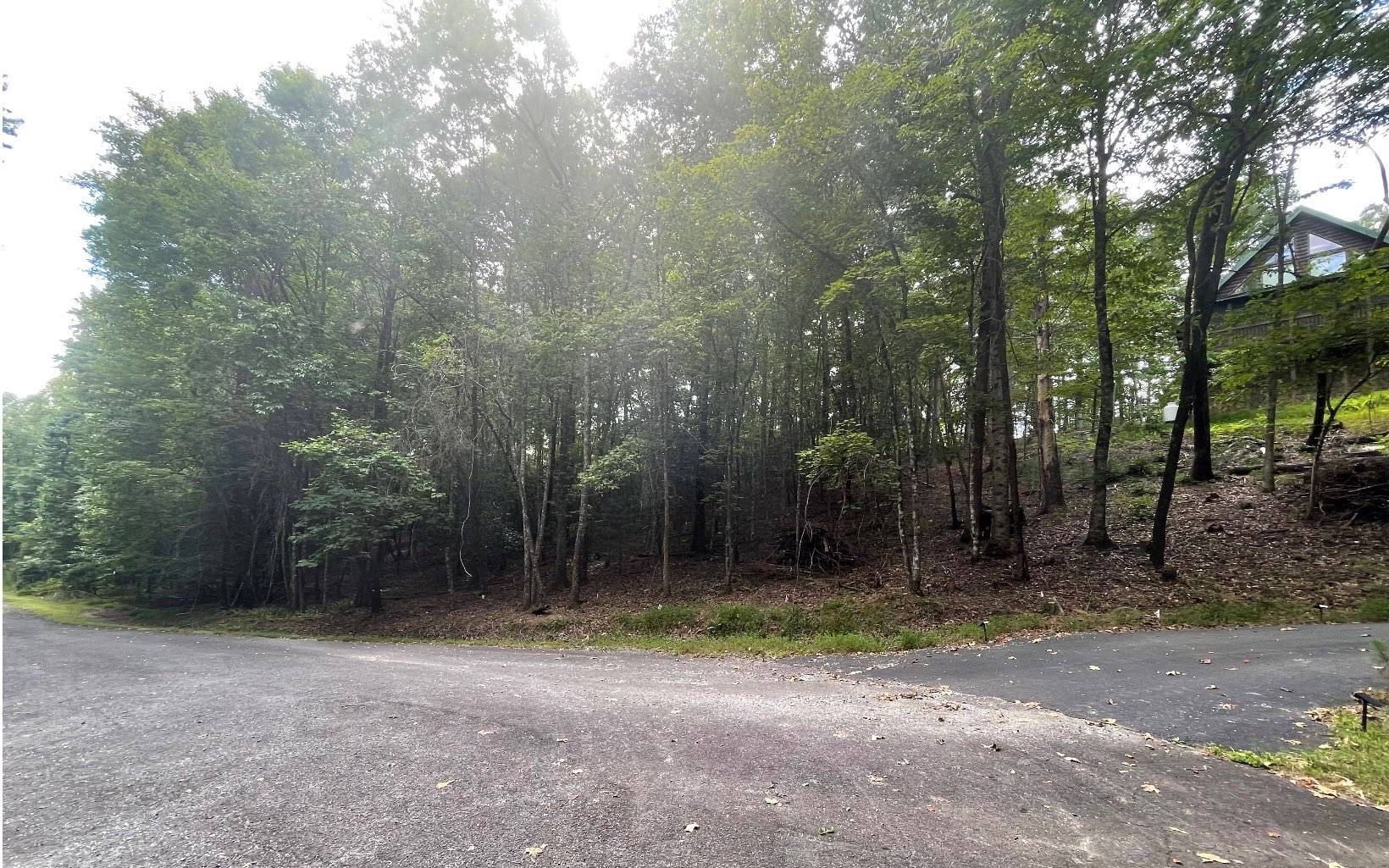 Ellijay, GA 30540,1.5AC Satsuma Court N