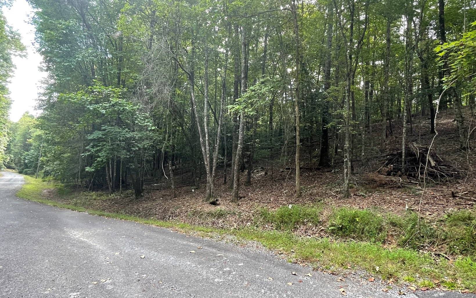 Ellijay, GA 30540,1.5AC Satsuma Court N