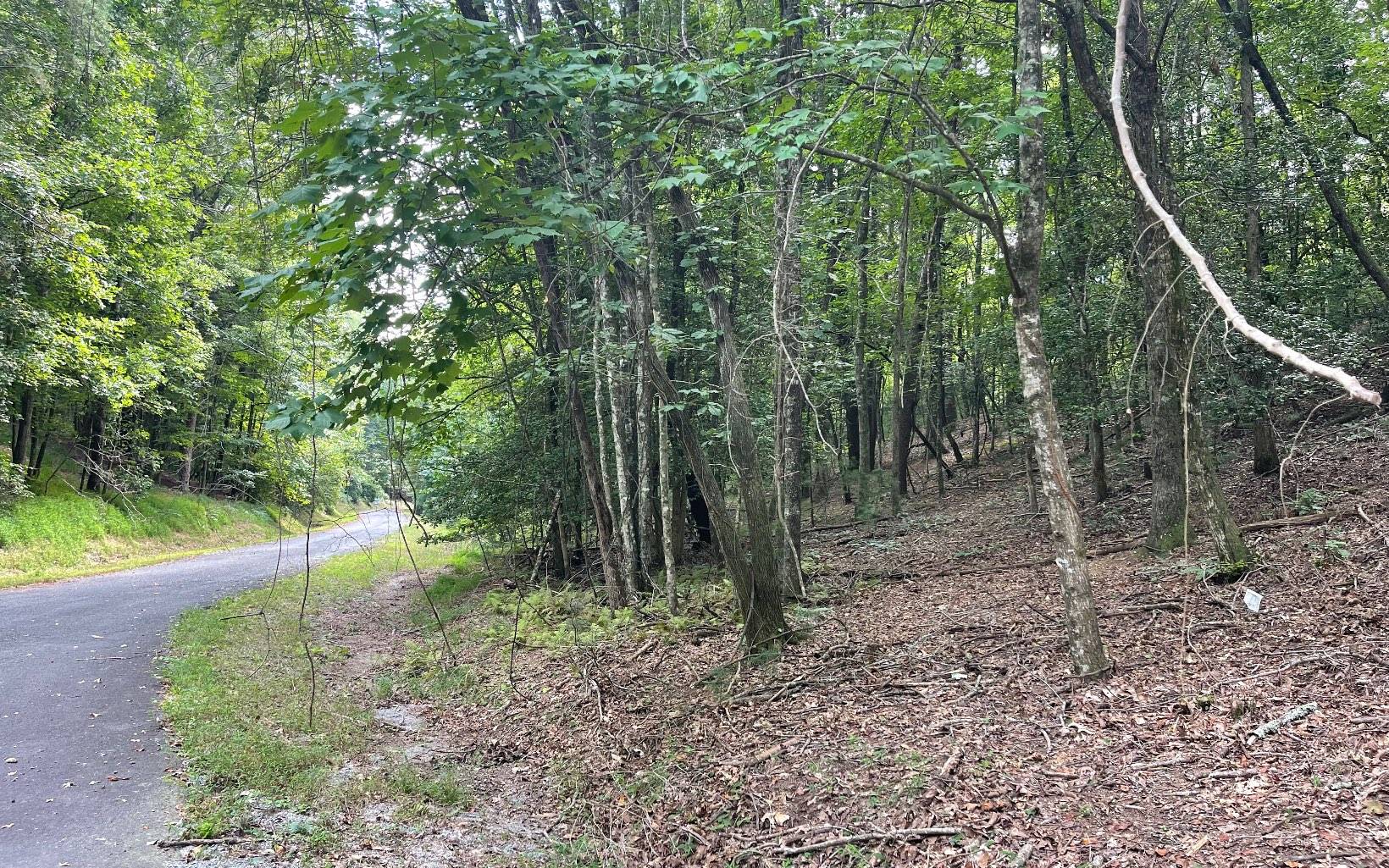 Ellijay, GA 30540,1.5AC Satsuma Court N