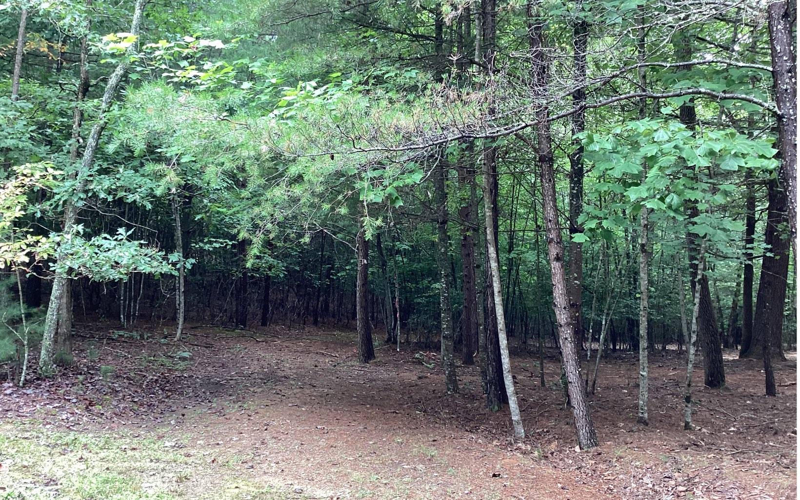 Blairsville, GA 30512,Baisto Lane Lot 24