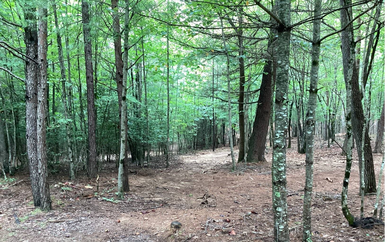 Blairsville, GA 30512,Baisto Lane Lot 24