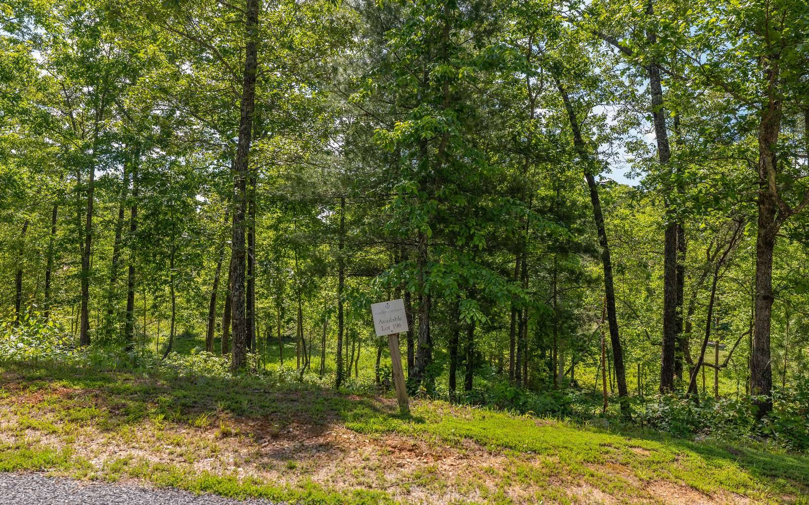 Mineral Bluff, GA 30559,LT196 Trails End Way