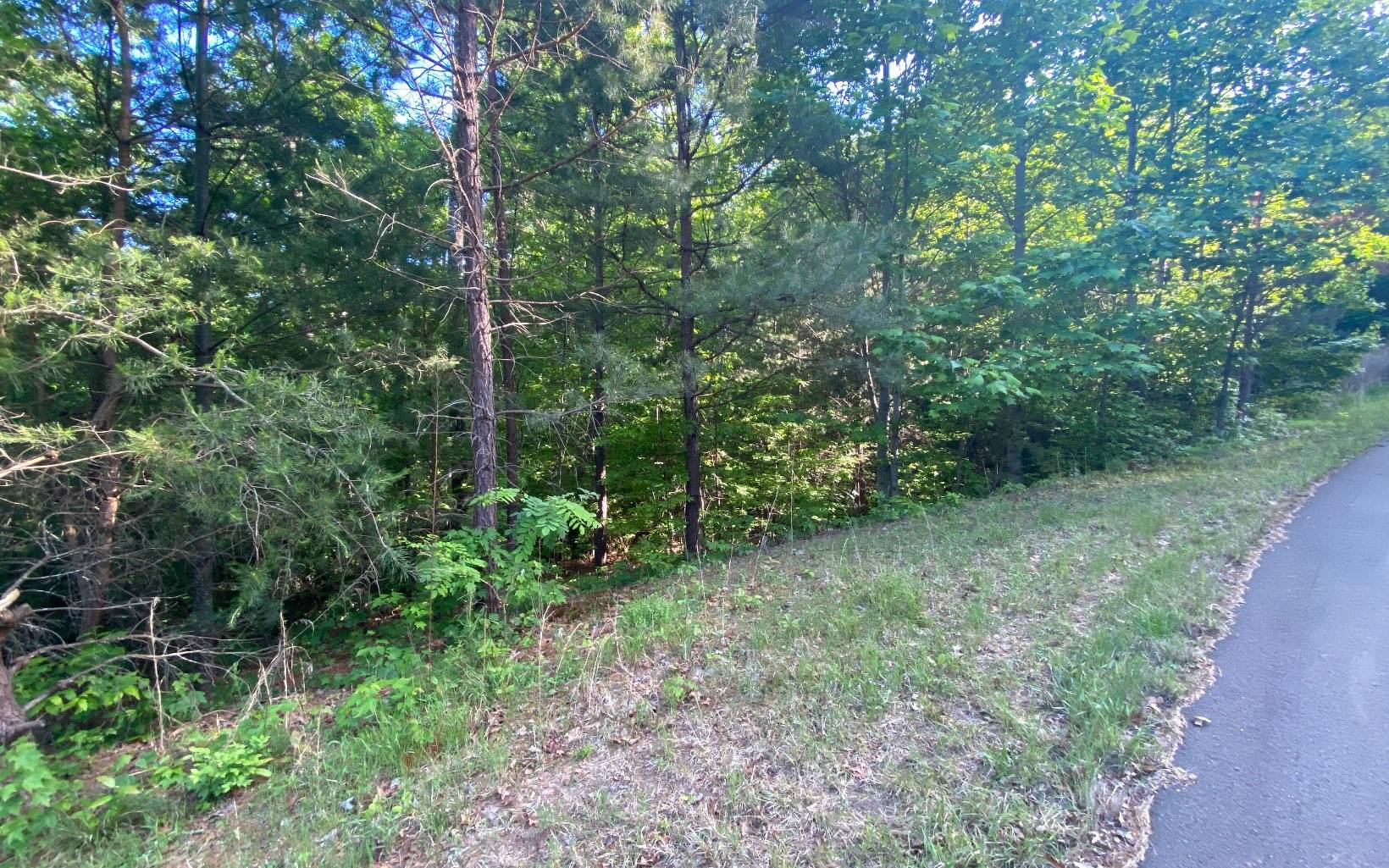 Morganton, GA 30560,LT 47 Ralston Gap Road