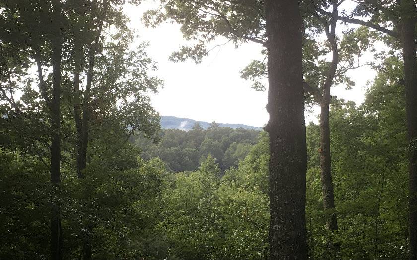 Blue Ridge, GA 30513,LOT9 Sunrise Court