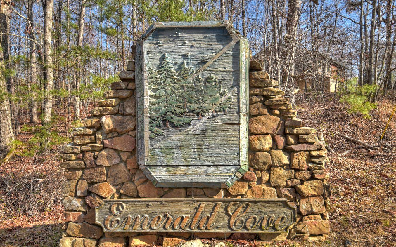 Ellijay, GA 30540,LT 24 Emerald Springs Lane