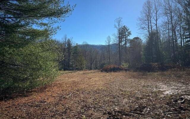 Hiawassee, GA 30546,LT 33 Whisper Woods Road