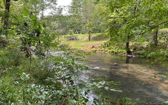 Cherry Log, GA 30522,LOT 9 River Escape Drive