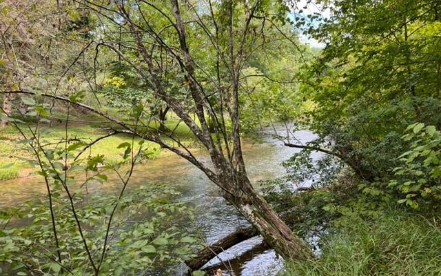 Cherry Log, GA 30522,LOT 9 River Escape Drive