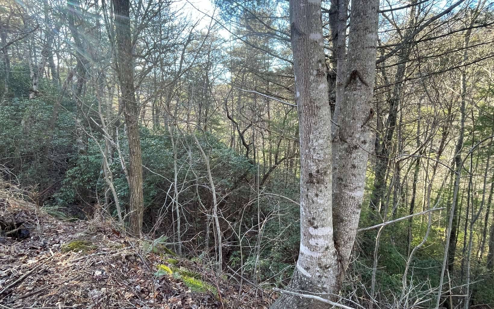 Hiawassee, GA 30546,LOT 6 Harris Heights Road