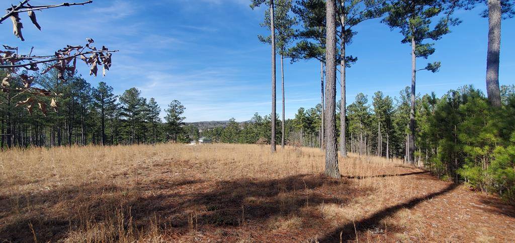 Blairsville, GA 30512,lot 315 Loop Lane