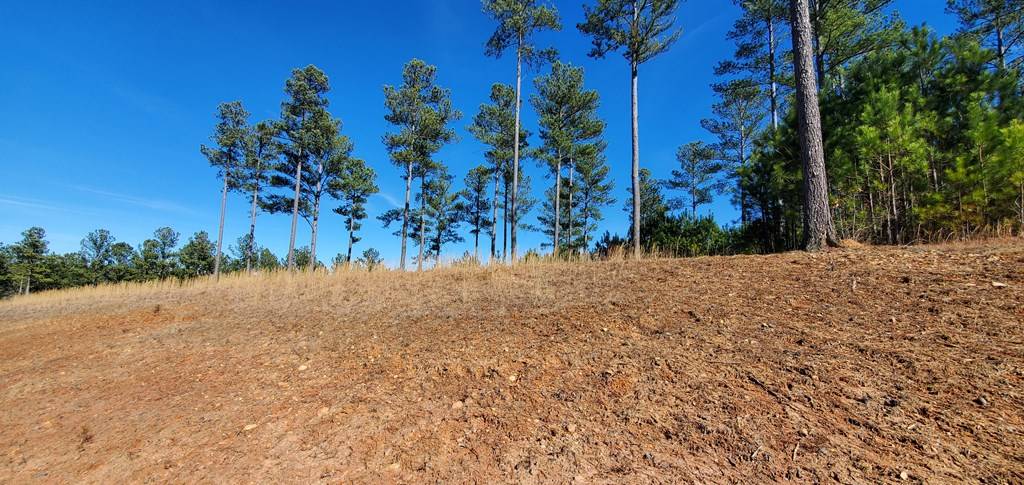 Blairsville, GA 30512,lot 315 Loop Lane