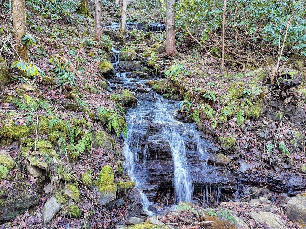 Hiawassee, GA 30549,38+ Acre Shoals Trail