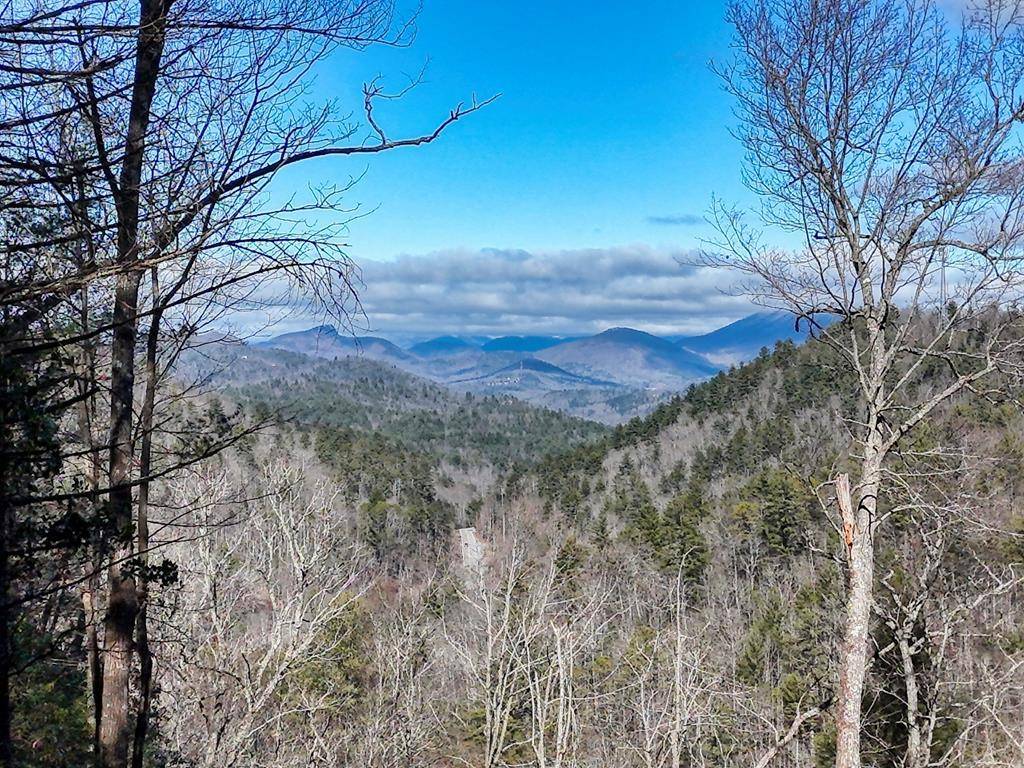 Hiawassee, GA 30549,38+ Acre Shoals Trail