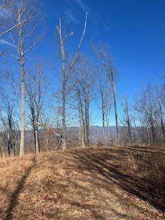 Murphy, NC 28906,Lot 55 Timberwood Drive