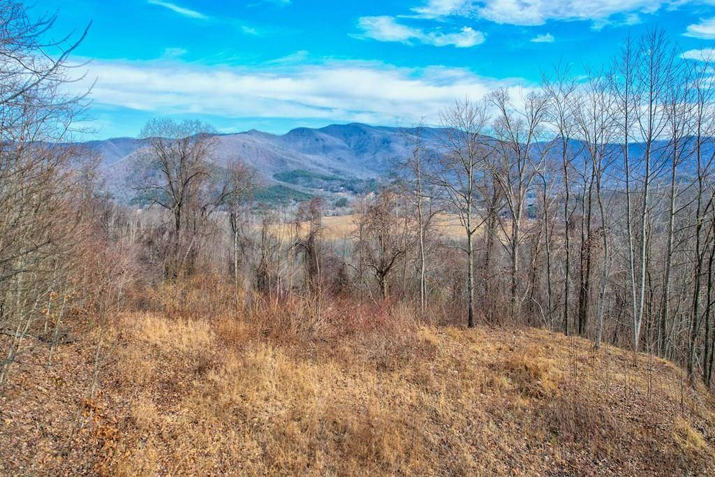 Hayesville, NC 28904,LOT 125 Shiloh Drive