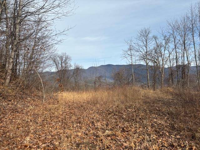 Hayesville, NC 28904,LOT 125 Shiloh Drive