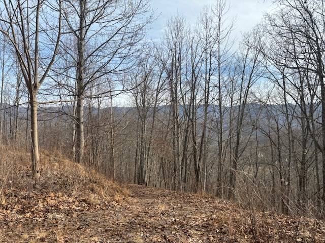 Hayesville, NC 28904,LOT 125 Shiloh Drive